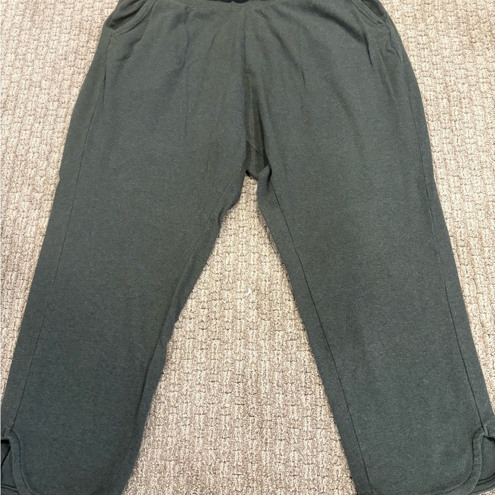 Pact Wide Leg Green Airplane Pant - Organic Cotton Flat Front XXL